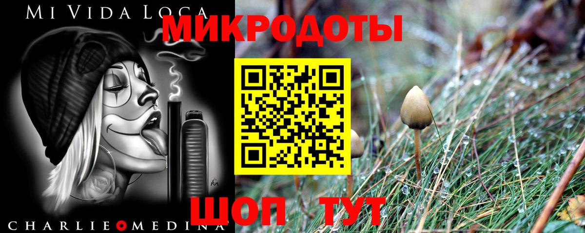 Псилоцибиновые грибы Psilocybine cubensis Краснотурьинск