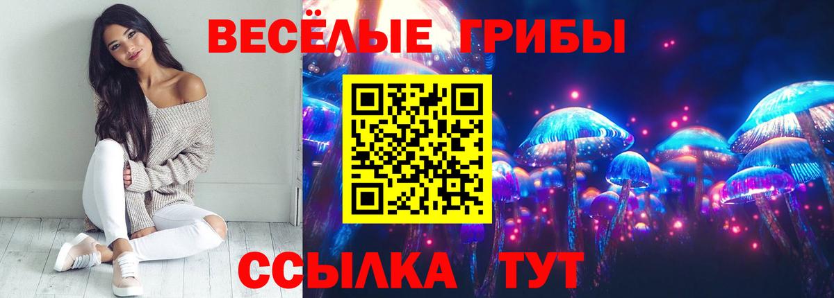 Псилоцибиновые грибы GOLDEN TEACHER  Вход с VPN  цена наркотик  Краснотурьинск 