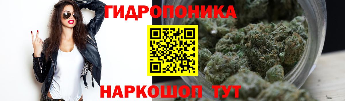 Бошки Шишки семена  Марихуана ГИДРОПОН  Вход с VPN  Краснотурьинск  Марихуана марихуана 
